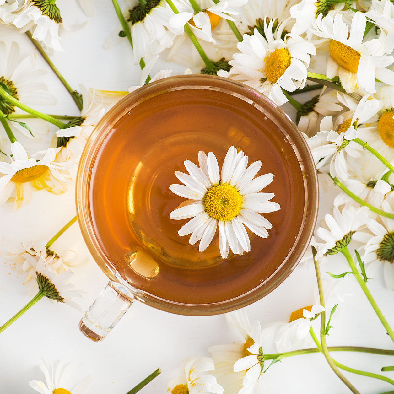 Organic Chamomile Flowers